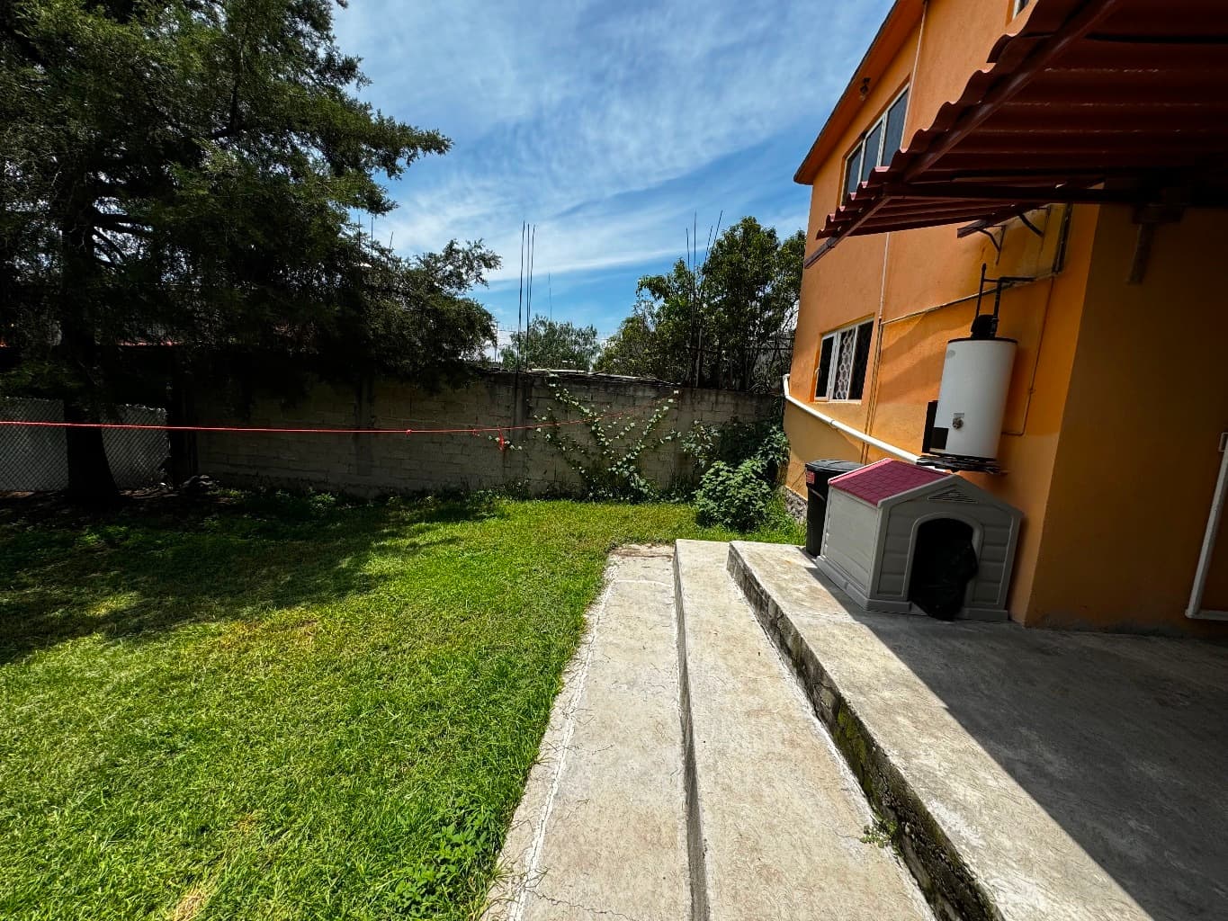 image-19