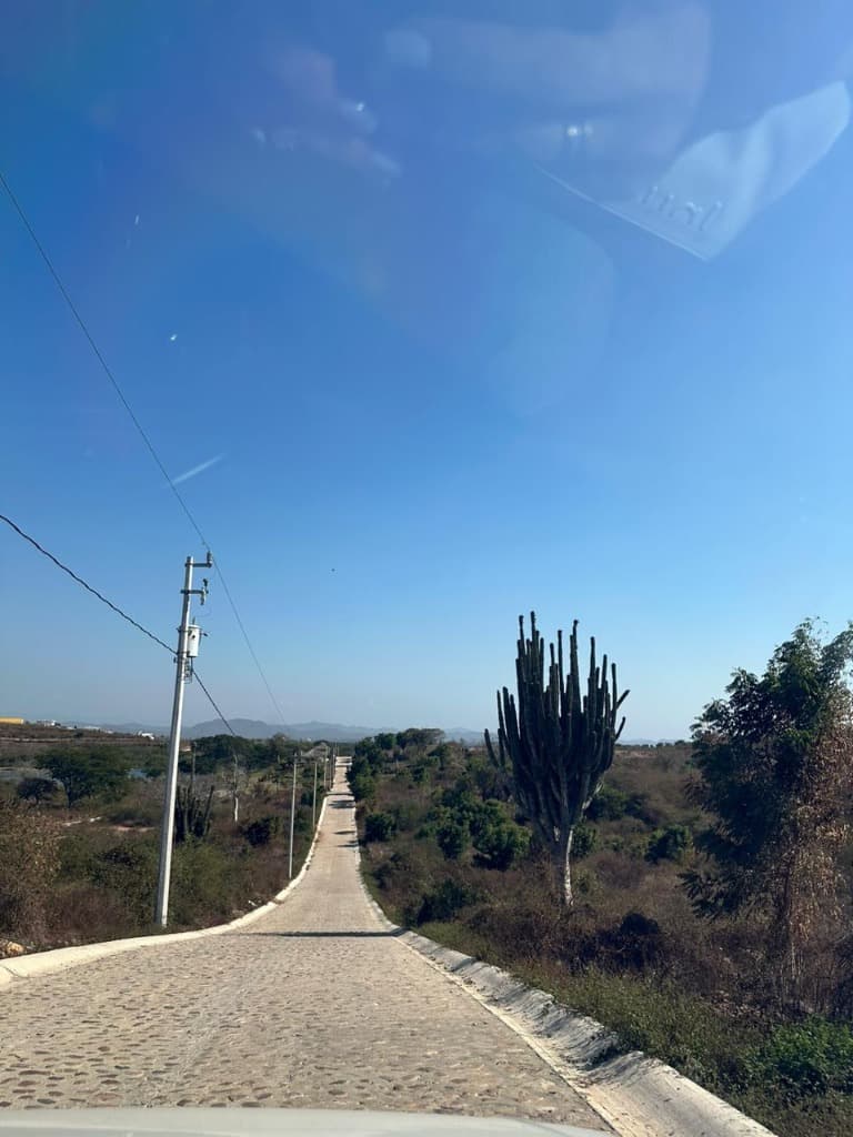 image-18
