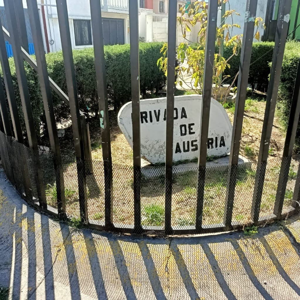 image-50
