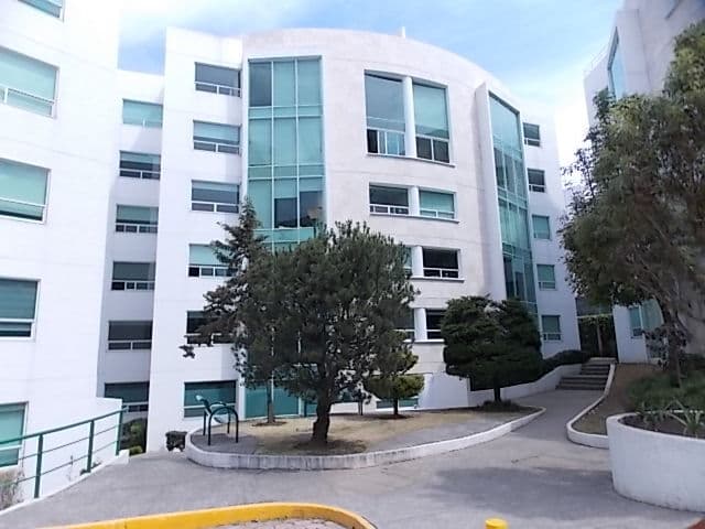 image-0