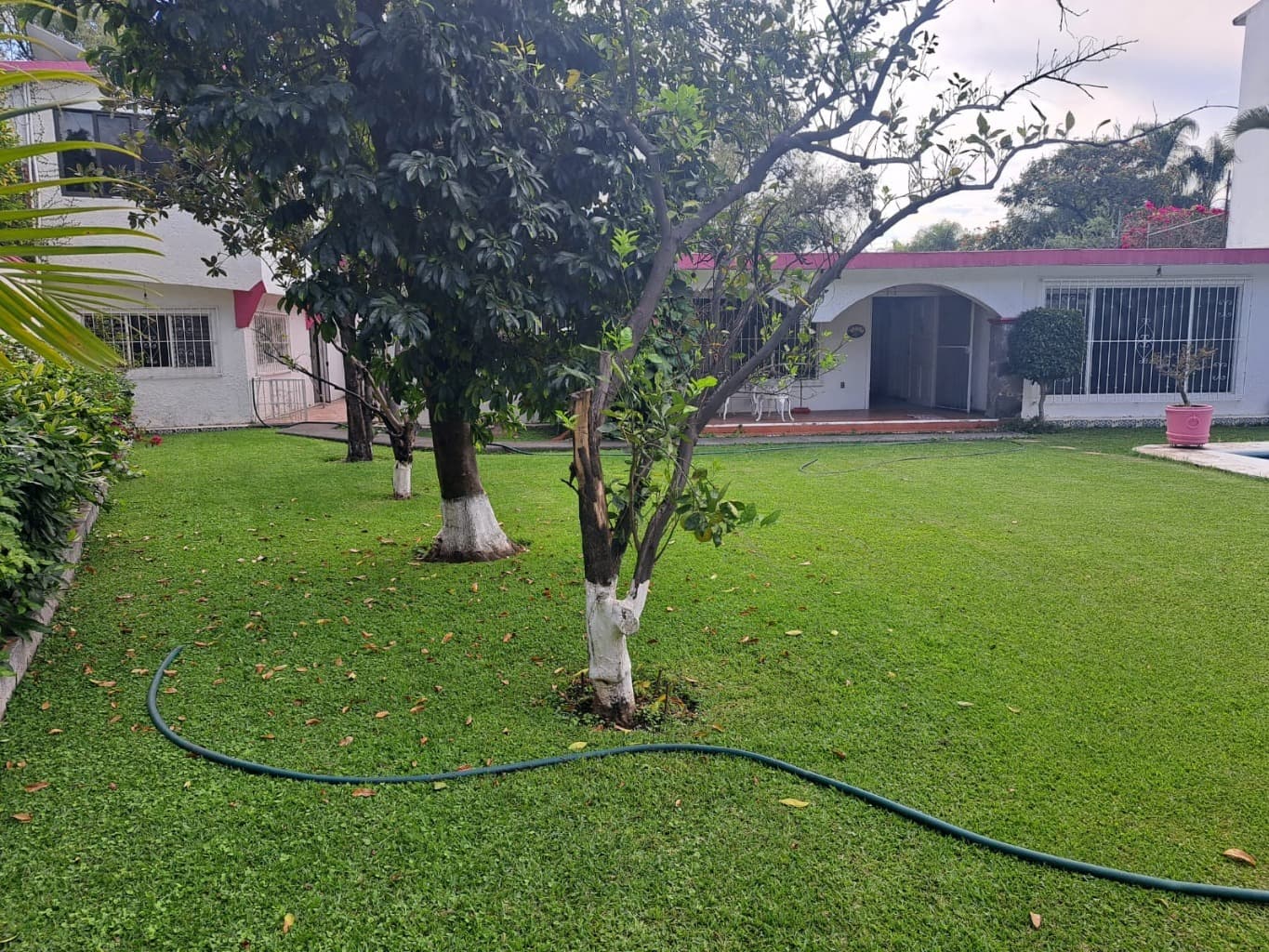 image-7