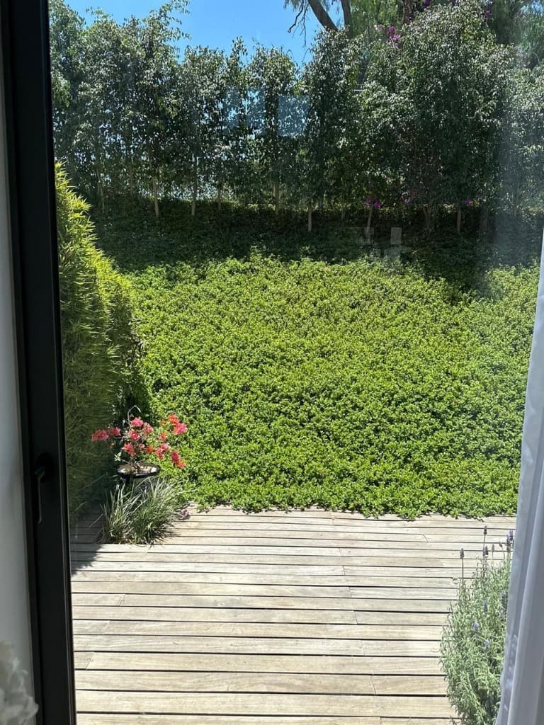 image-18