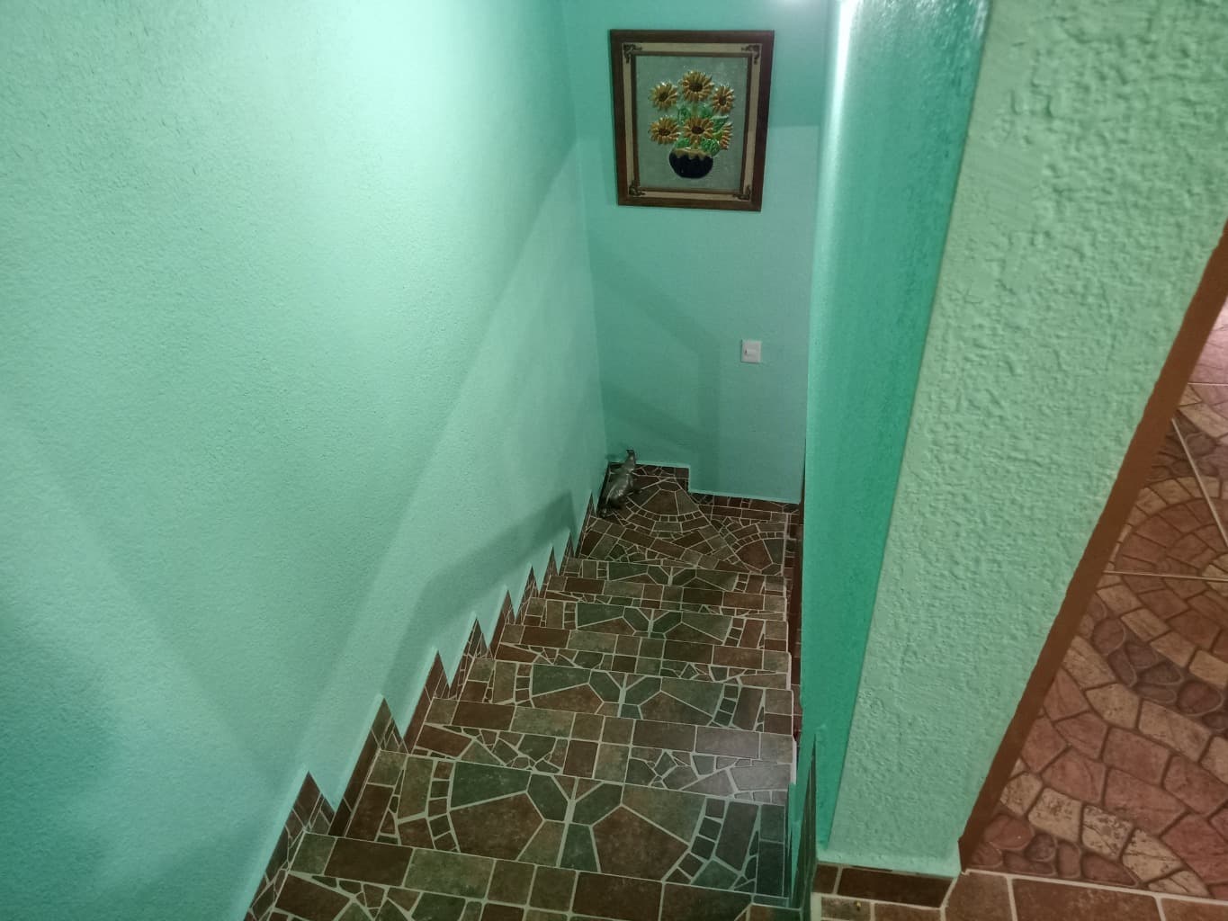 image-6