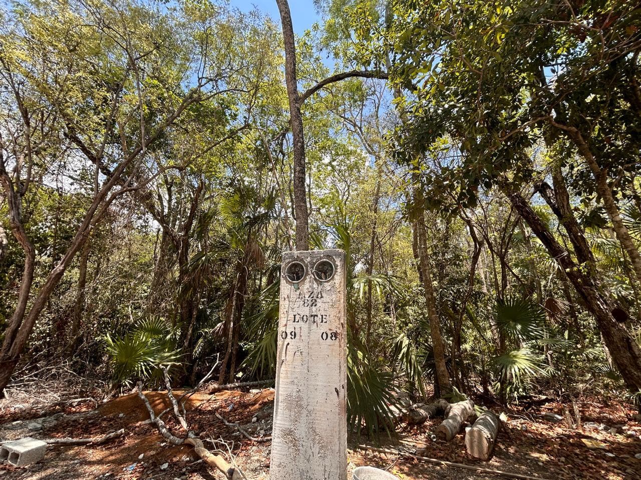 image-14