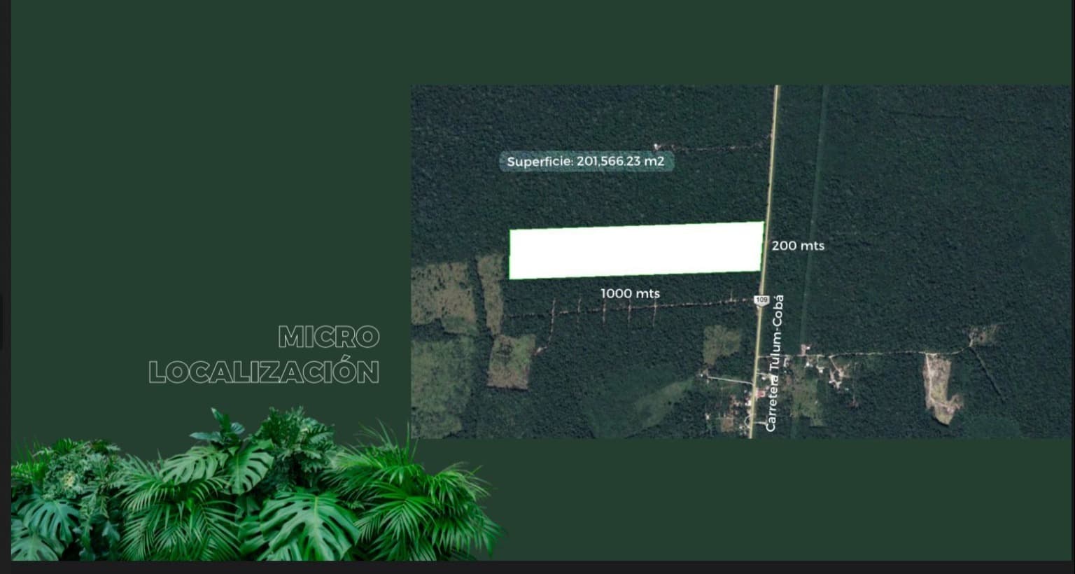 image-0
