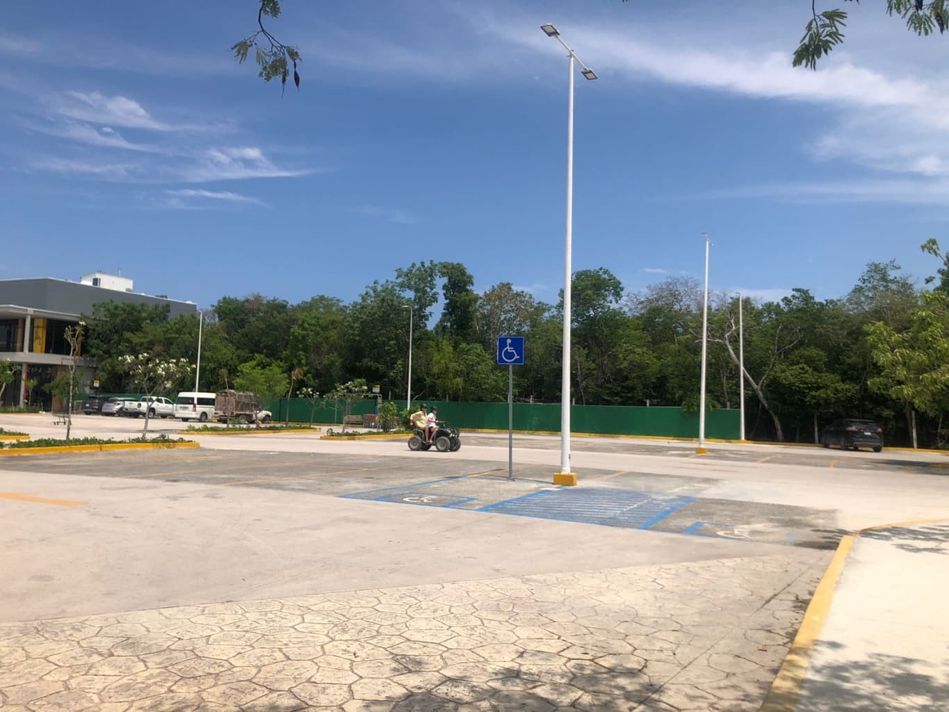 image-19