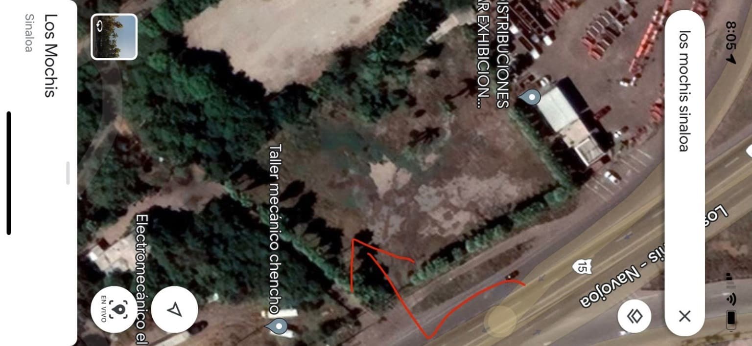 image-9