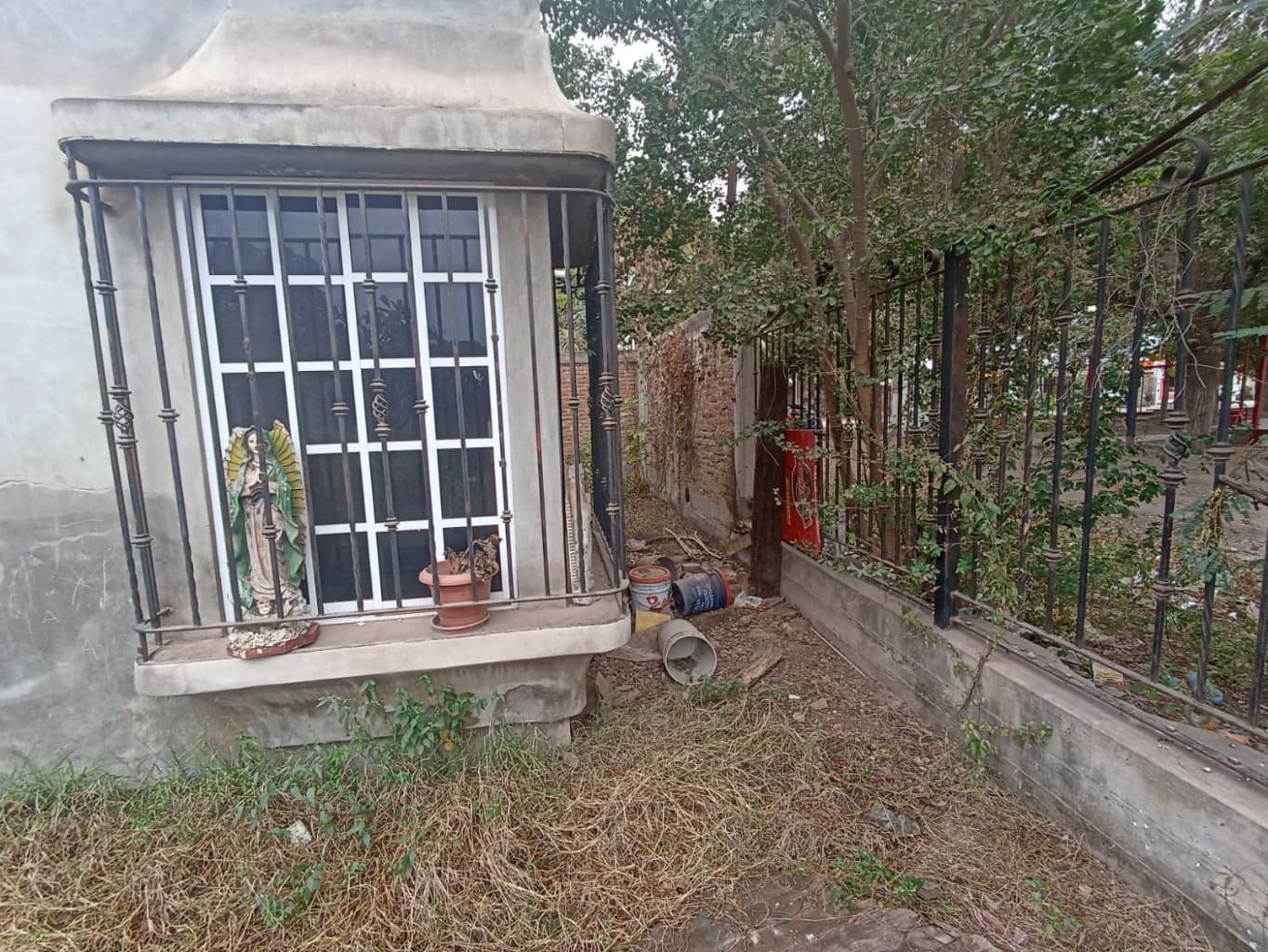 image-6