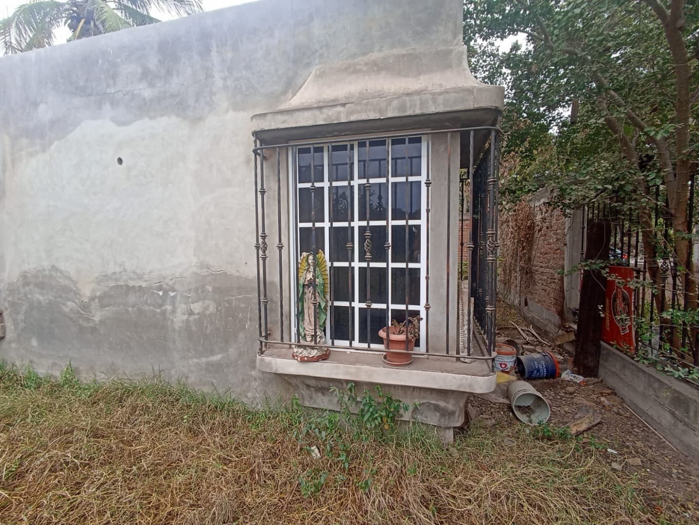 image-7