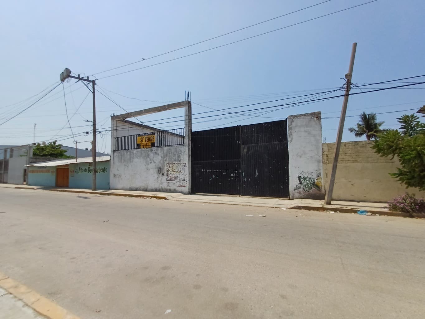 image-0
