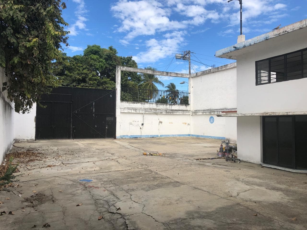 image-5