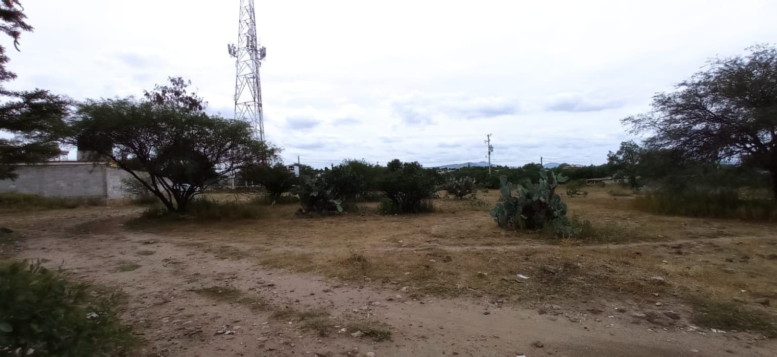 image-5