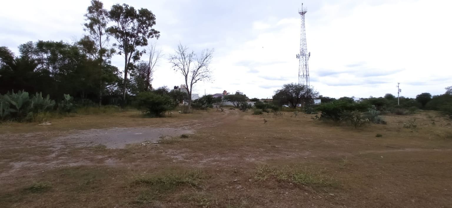 image-9