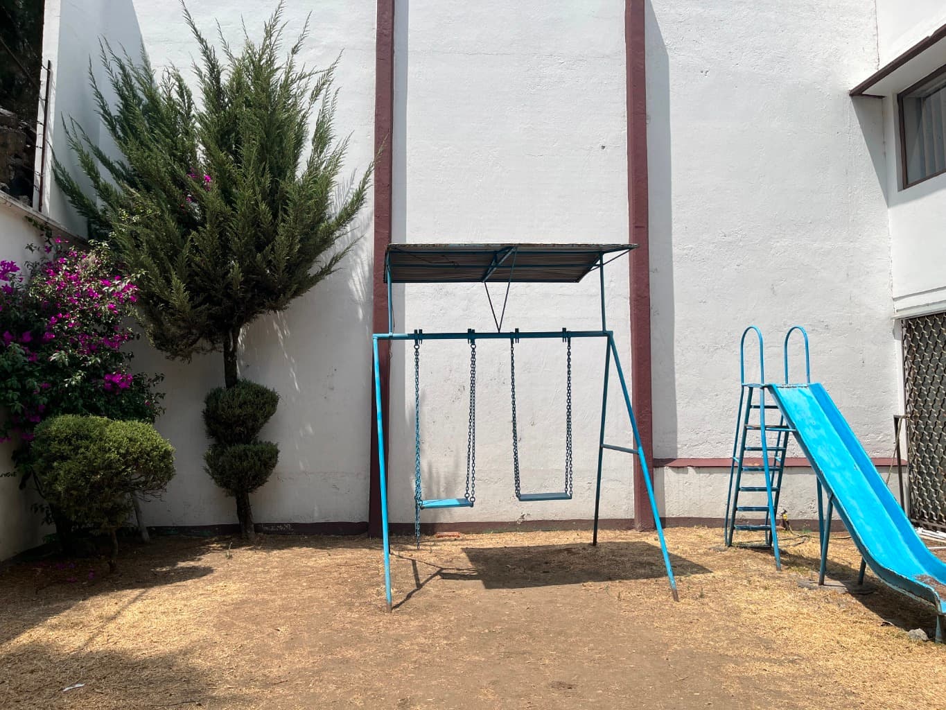 image-7