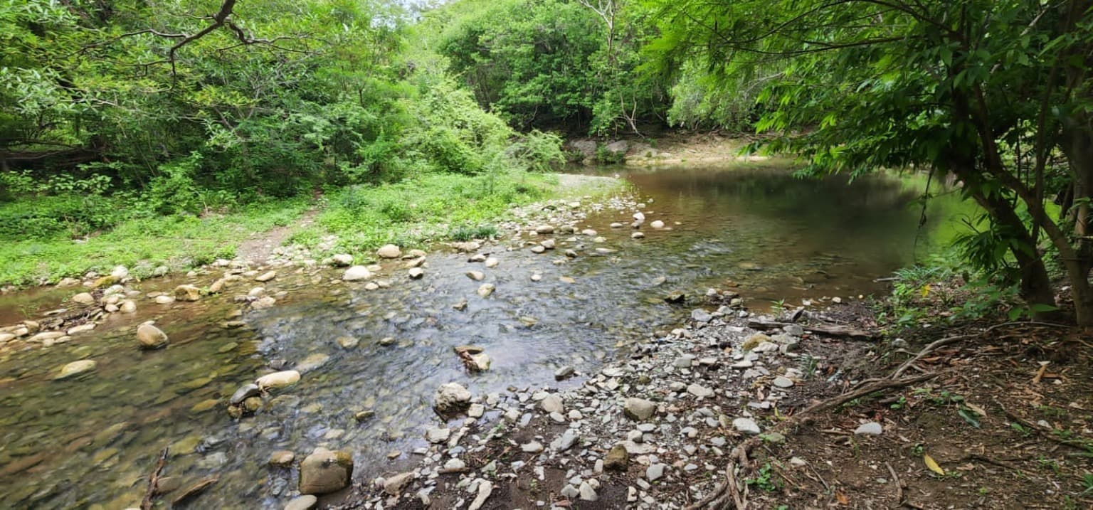 image-20