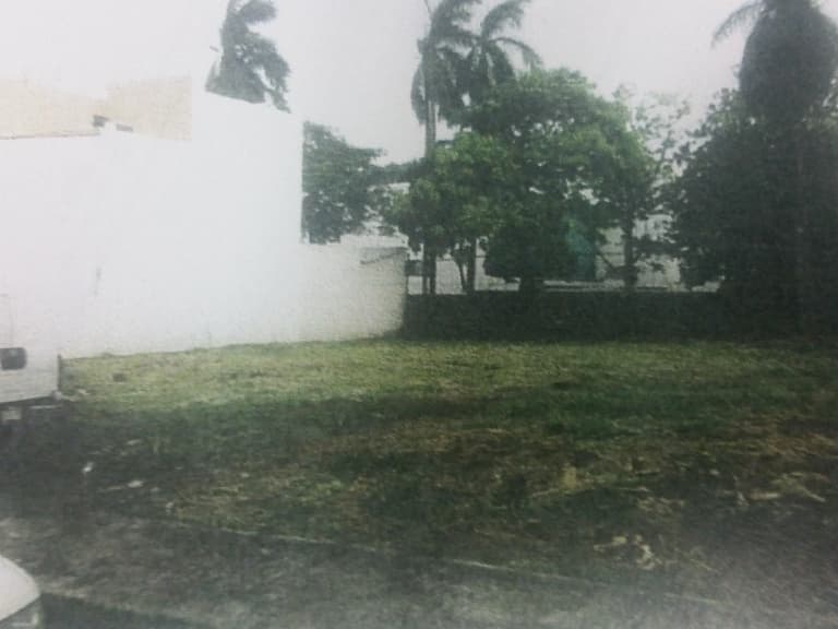 image-0