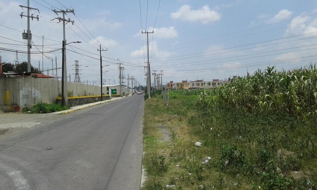 image-0