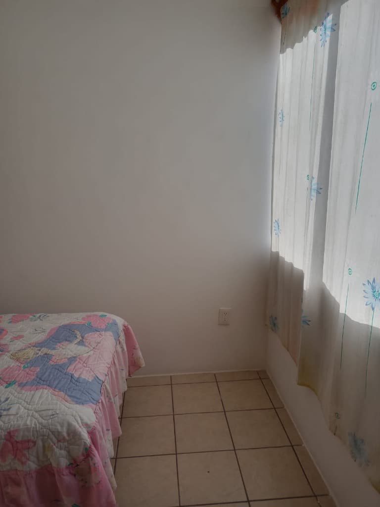 image-19
