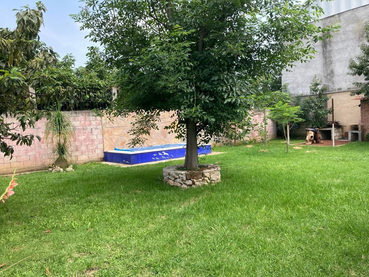 image-26