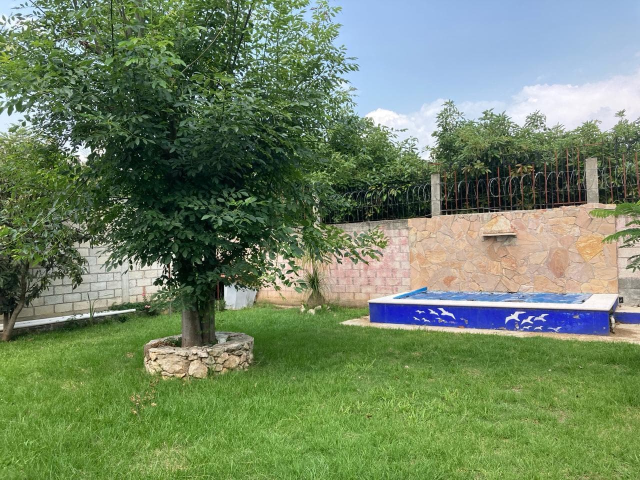 image-28