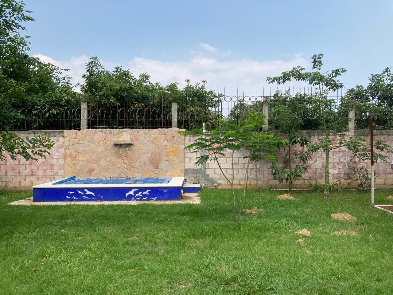 image-27