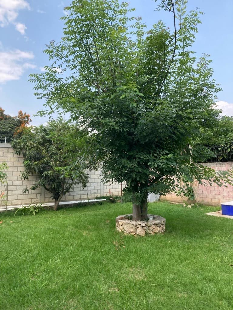 image-29
