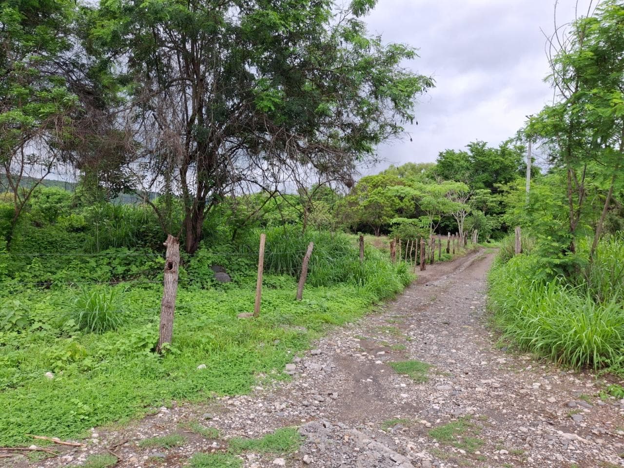 image-0