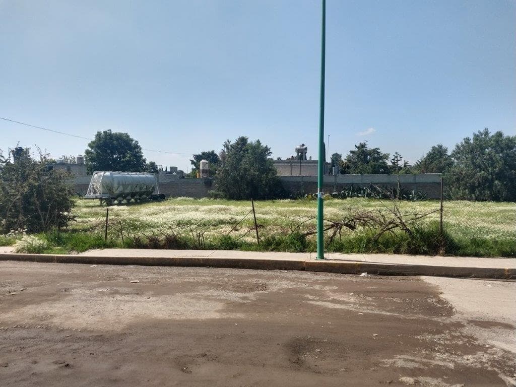 image-0