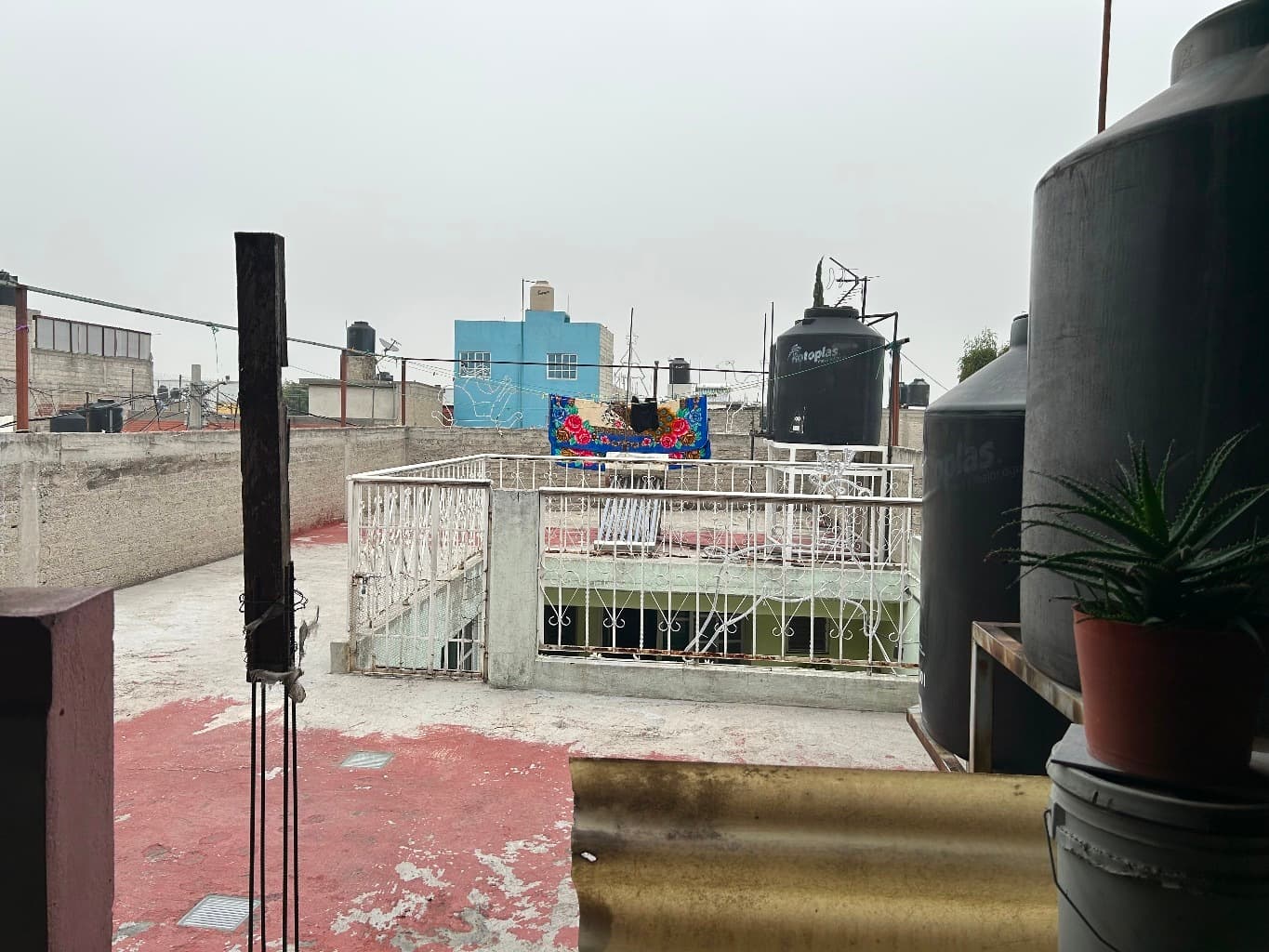 image-2