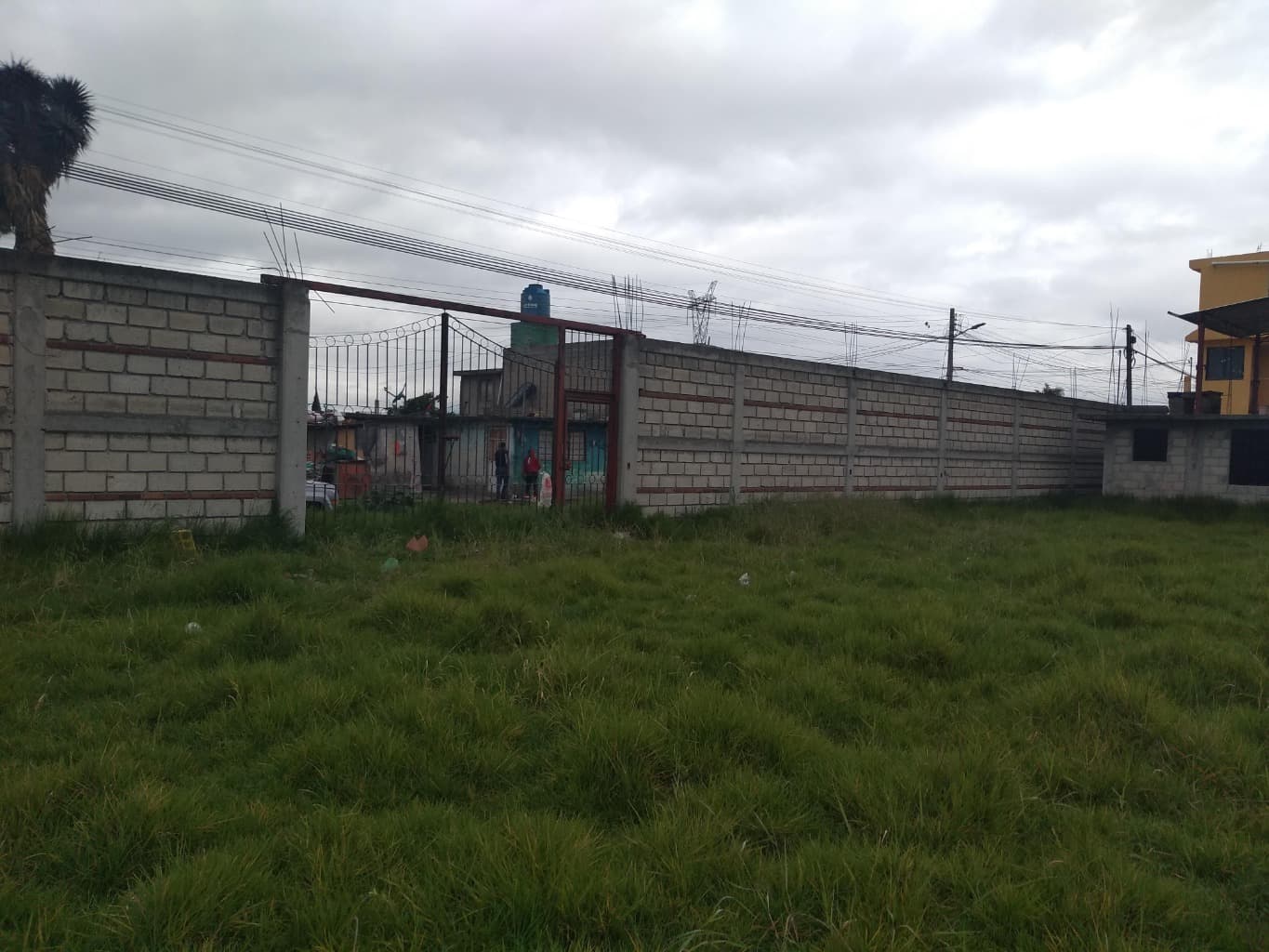 image-5