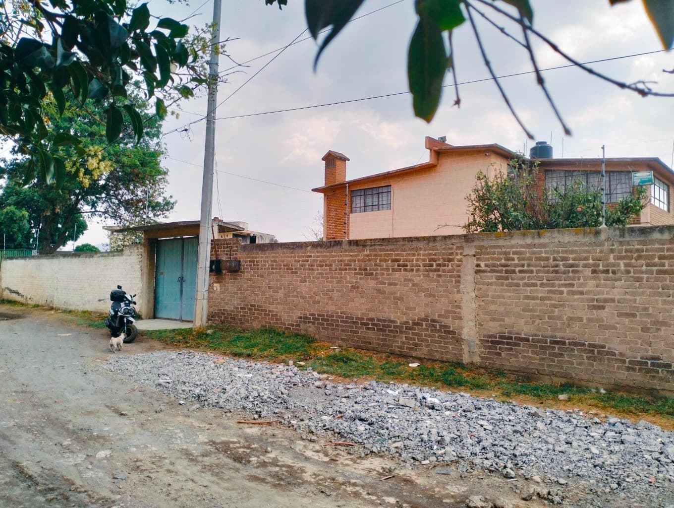 image-0