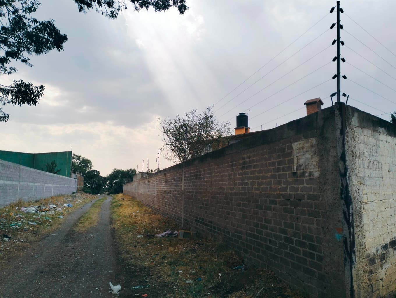 image-7