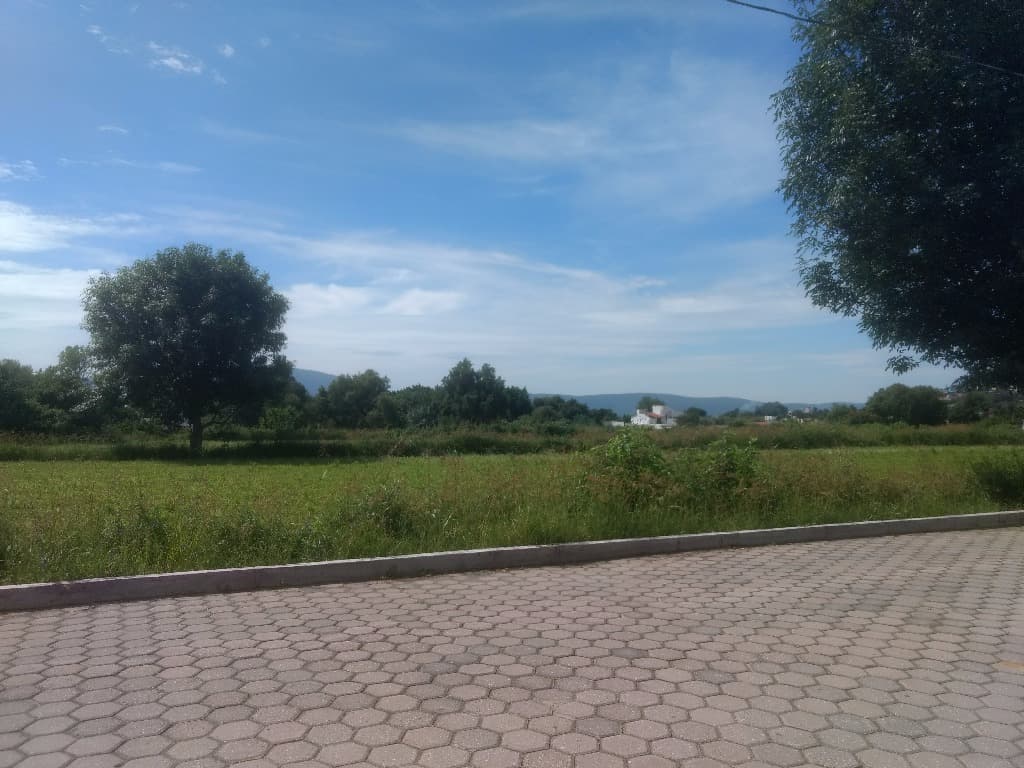 image-0