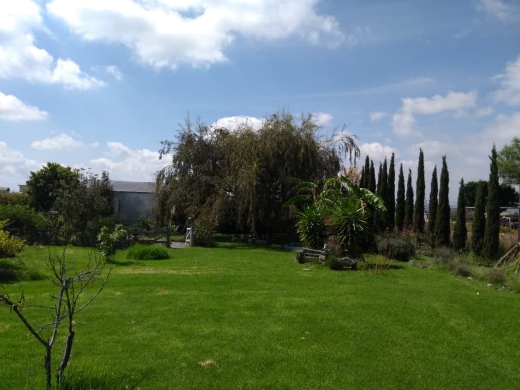 image-26