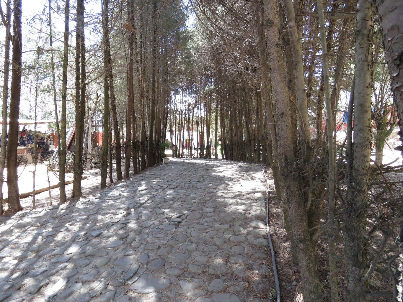 image-4