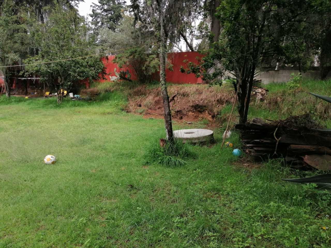 image-19