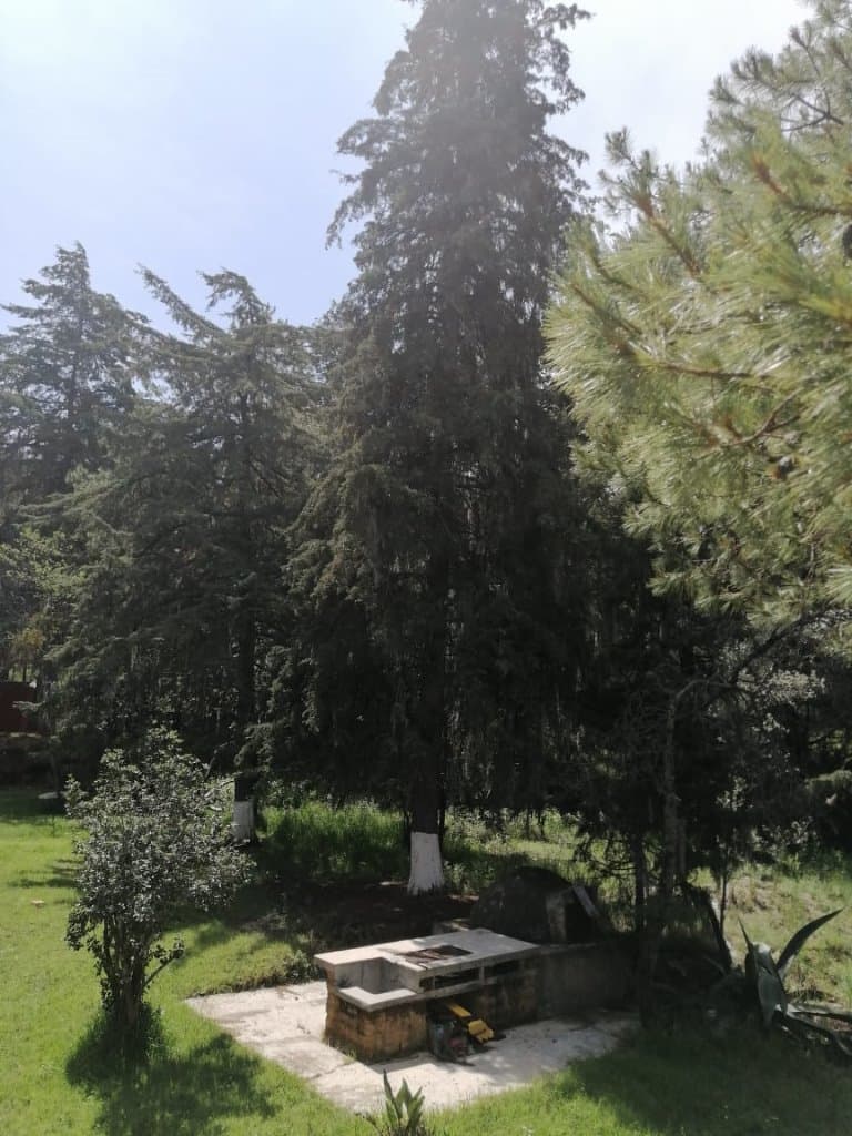 image-23