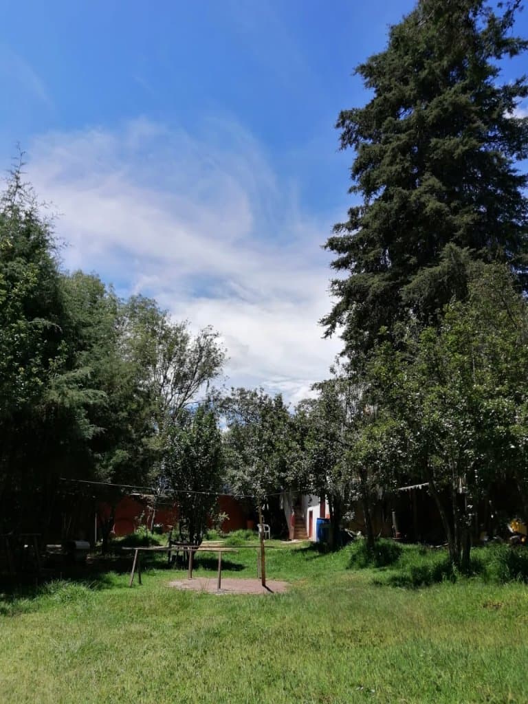 image-33