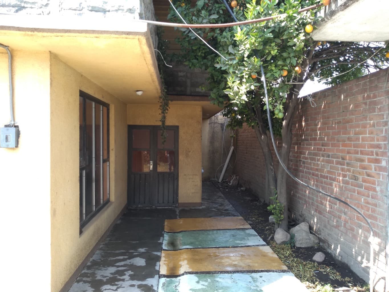 image-3