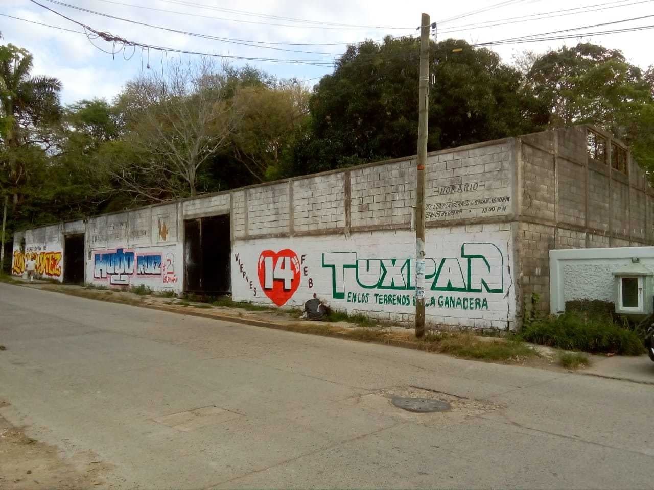 image-0