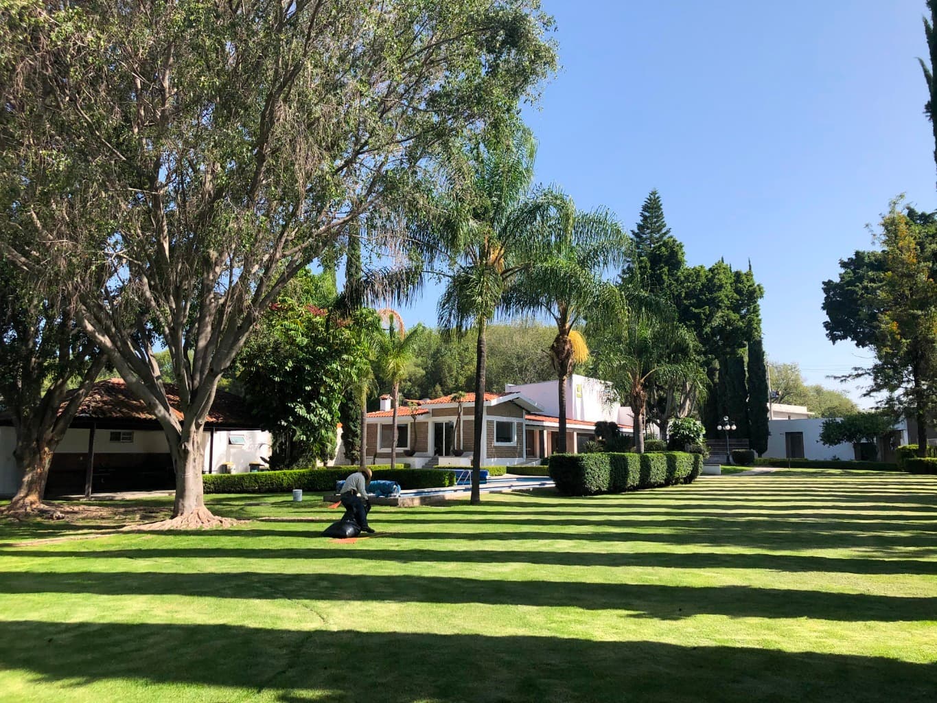 image-16
