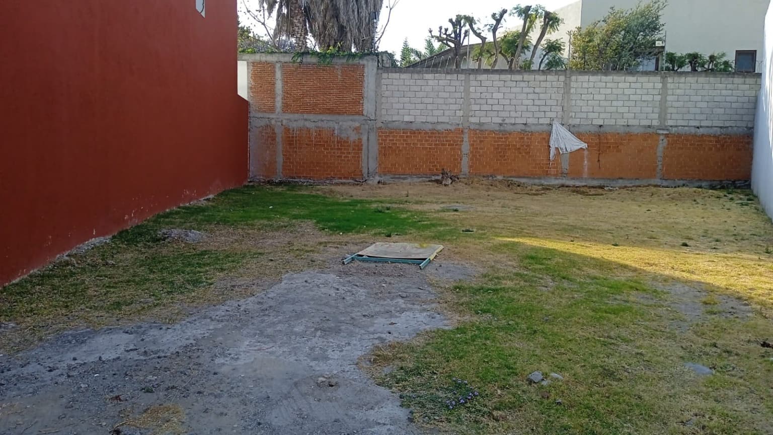 image-5
