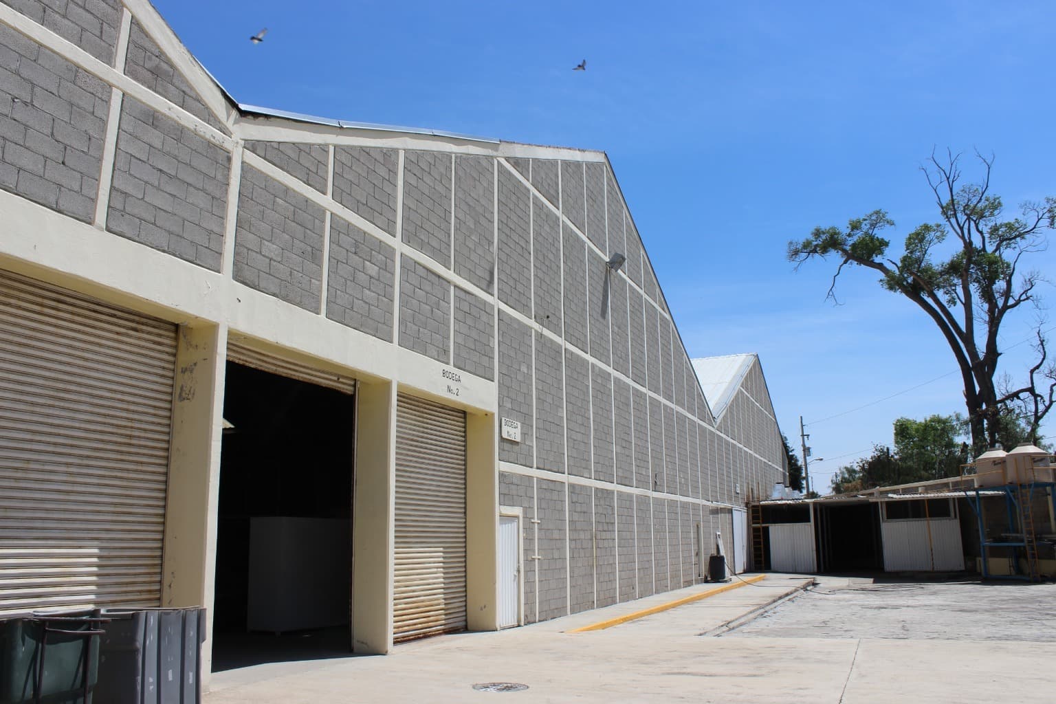 image-4