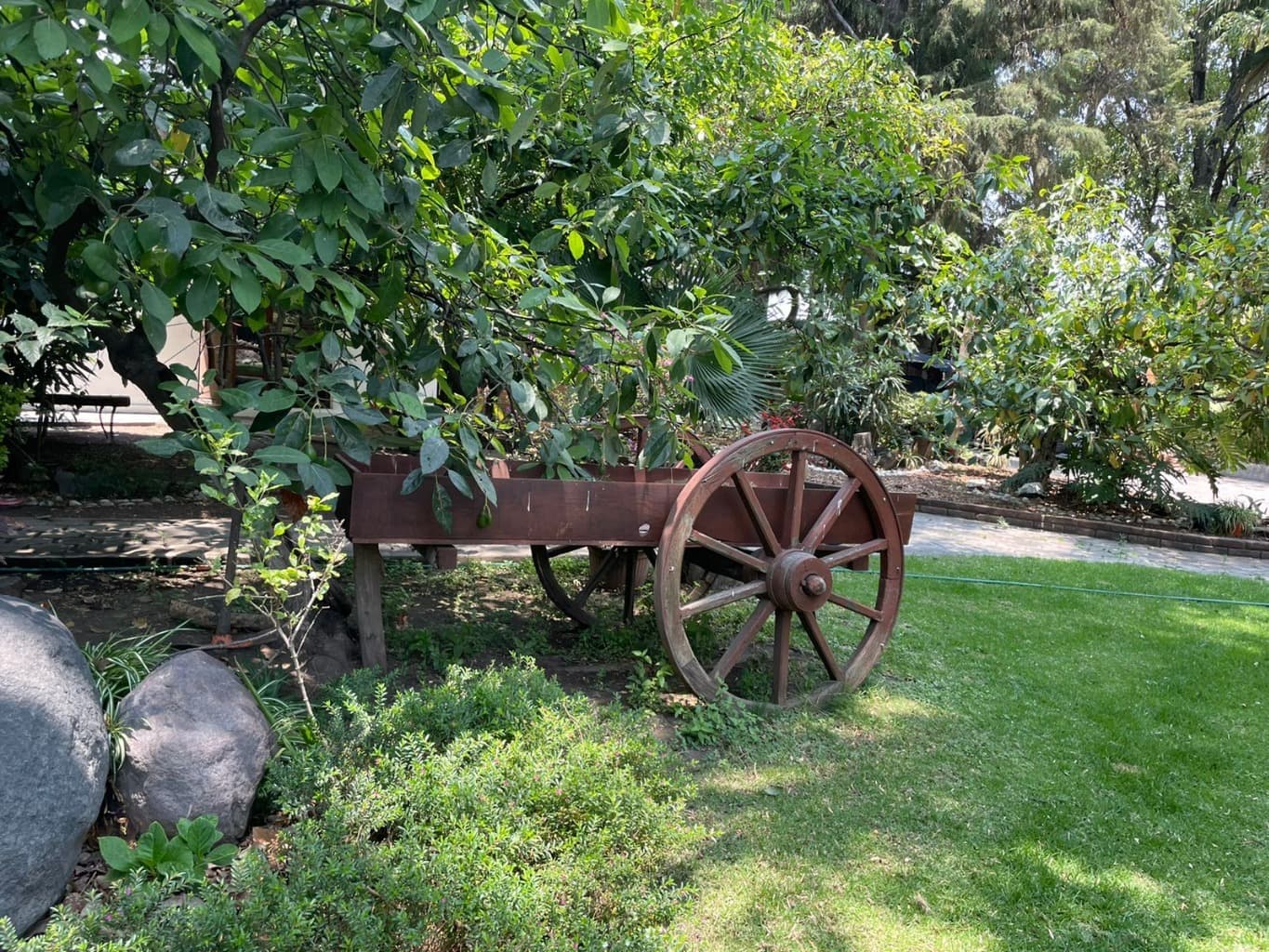 image-2