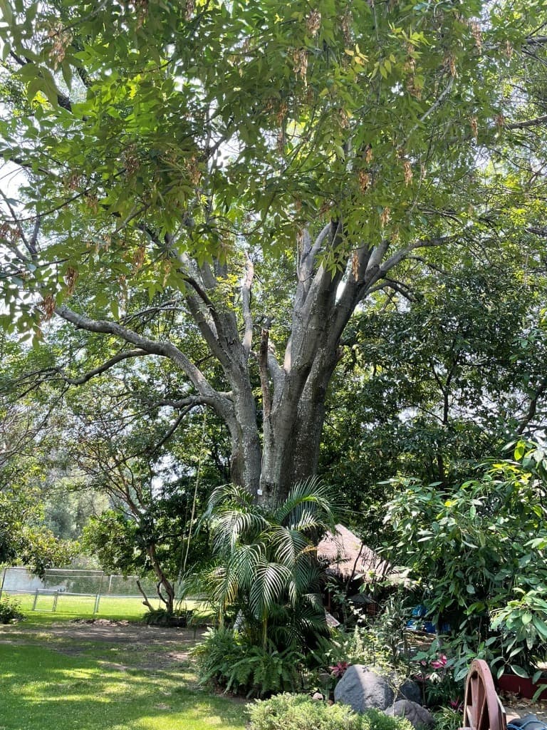image-3
