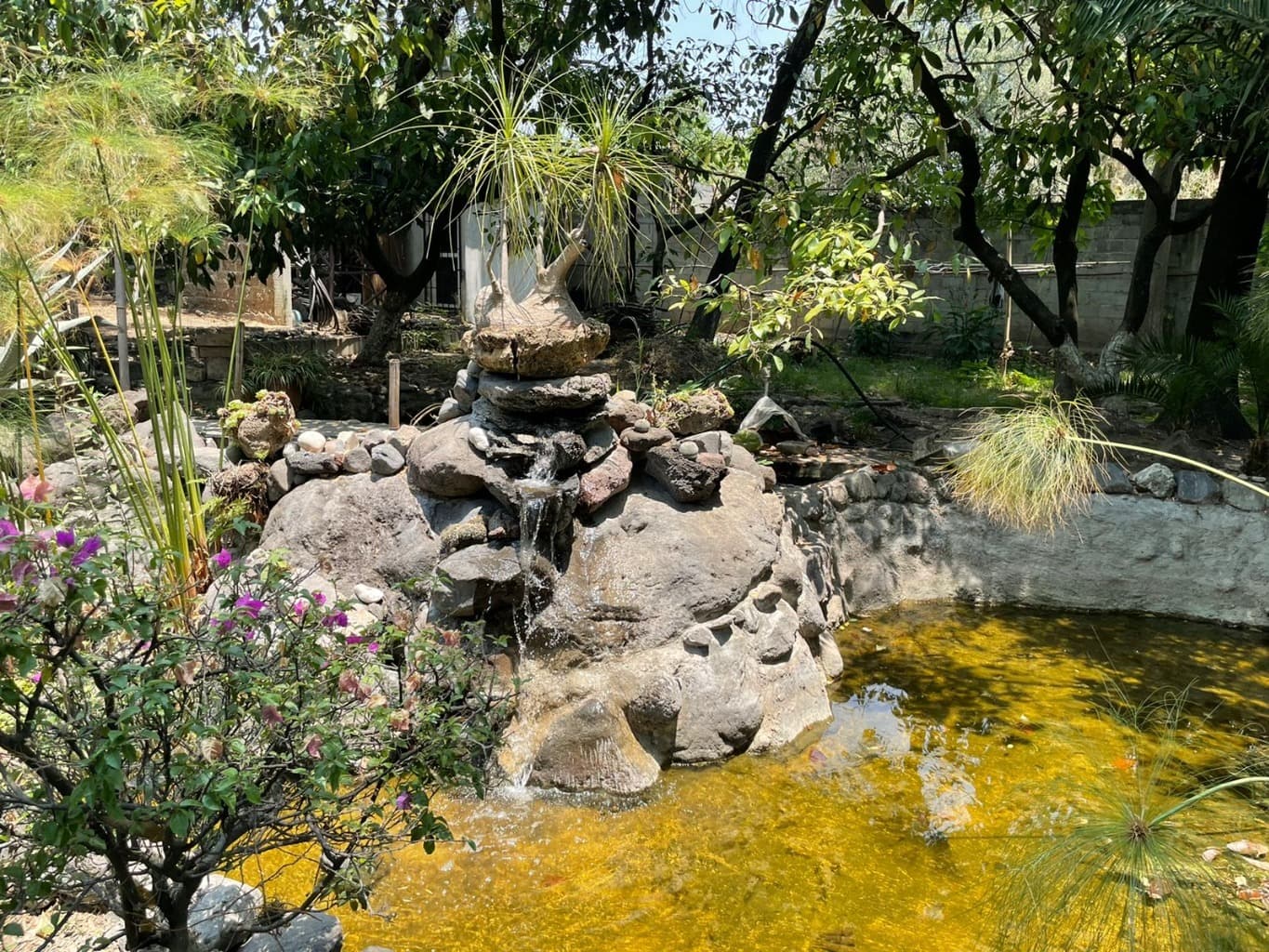 image-5