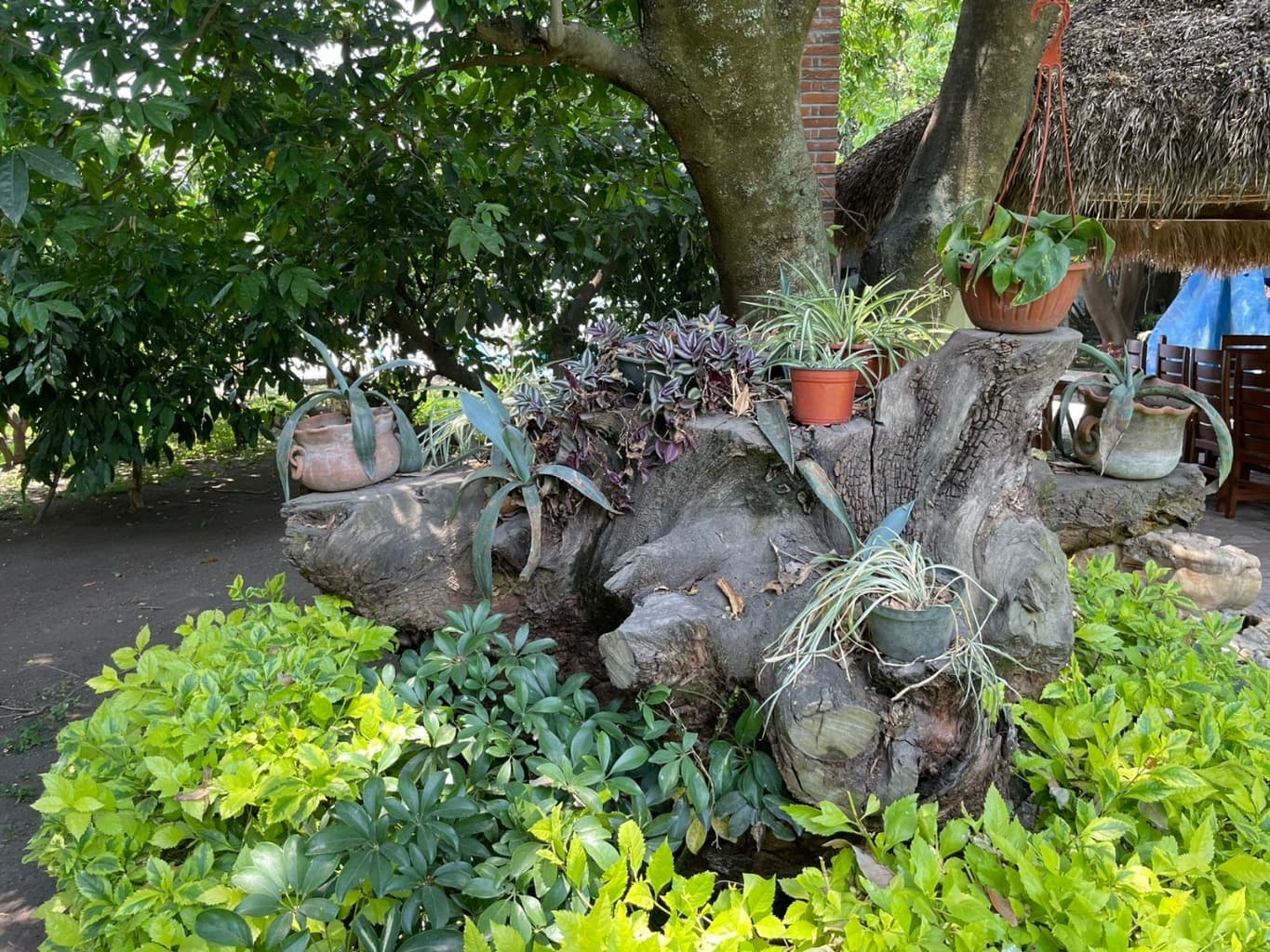 image-7