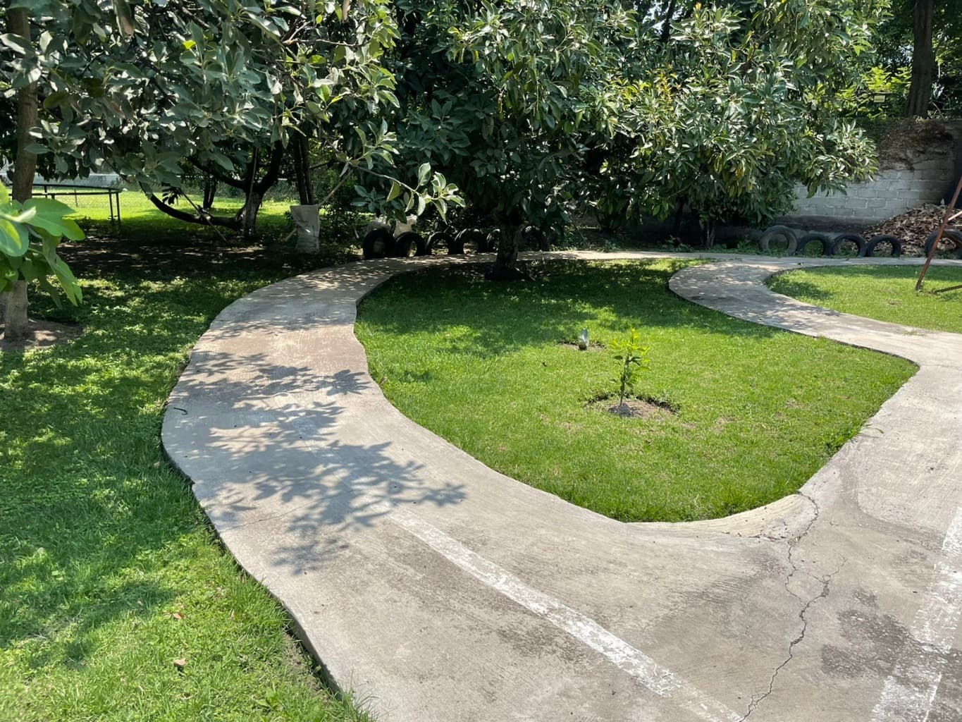 image-12