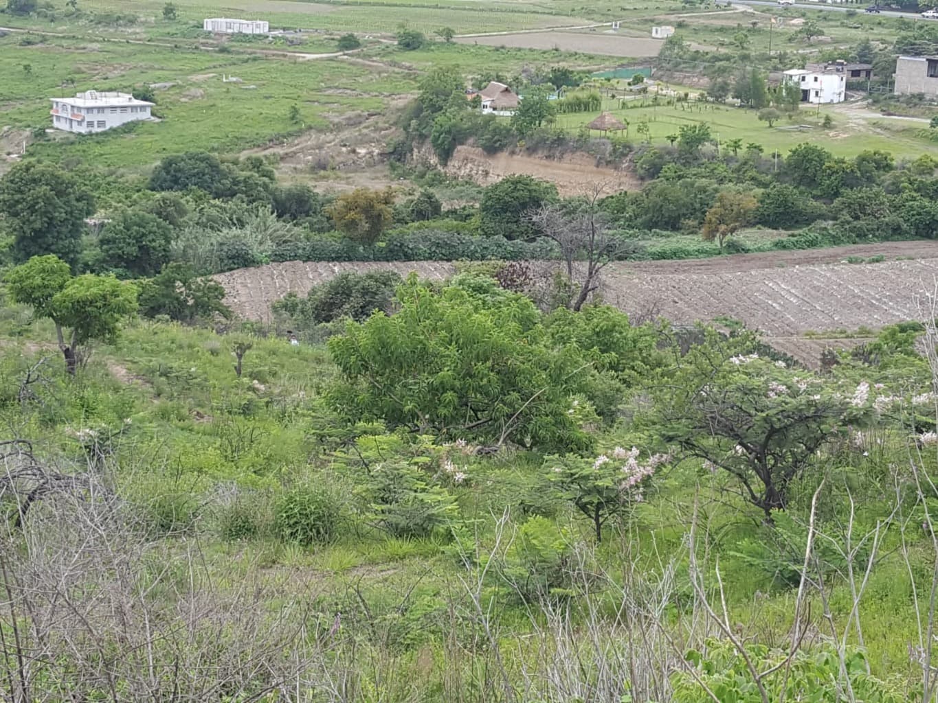 image-9