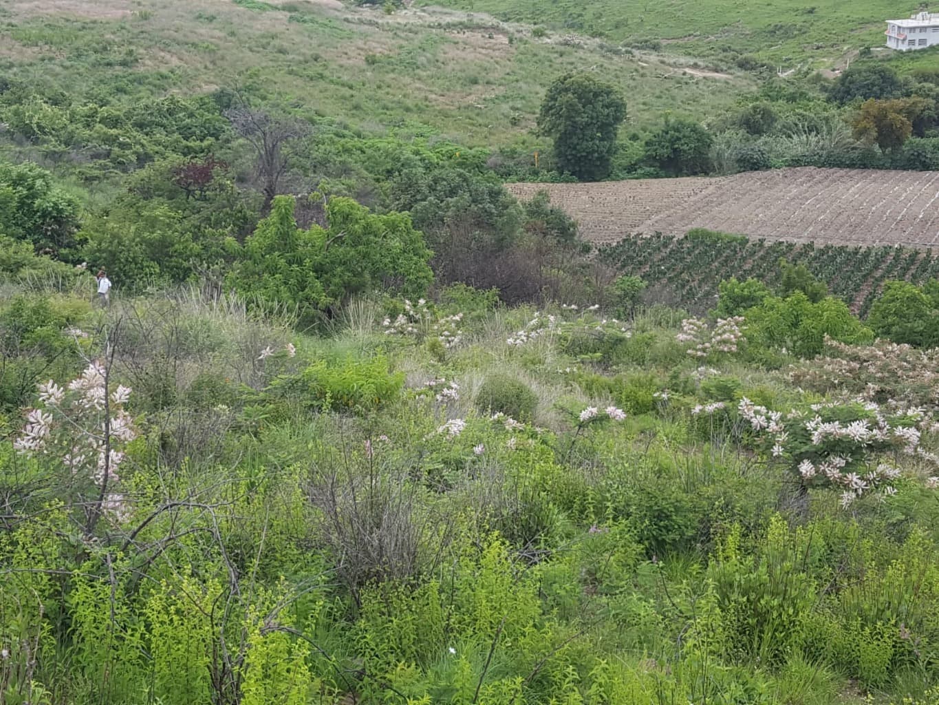 image-8